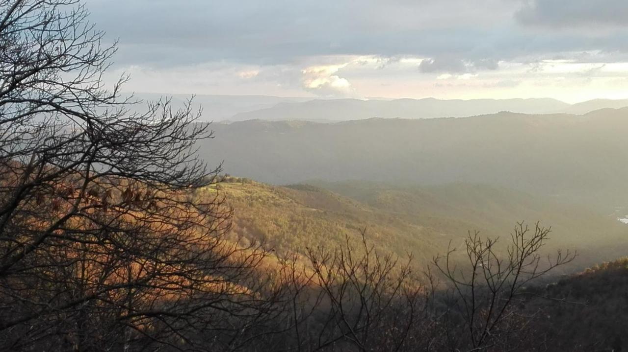 Gite Le Cerisier Via Rhona Dolce Via La Voulte-sur-Rhone Екстериор снимка